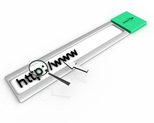 Web-search-tips