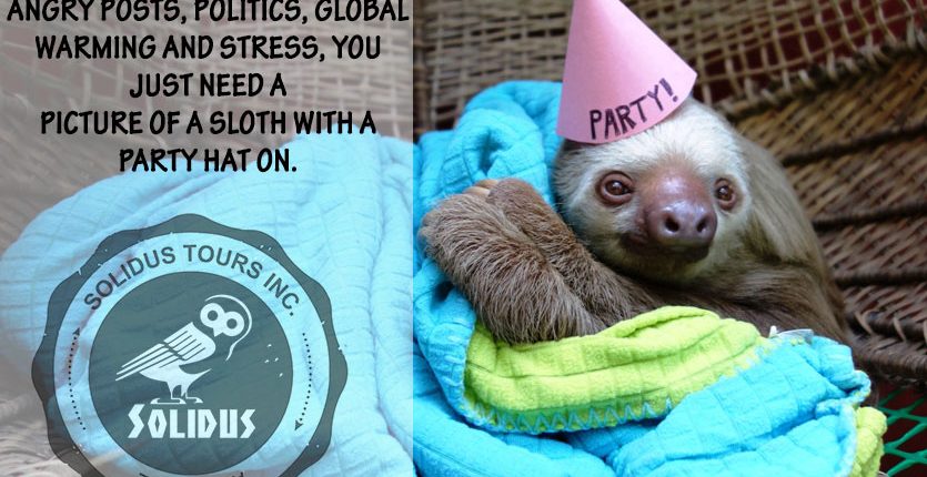 SlothWithAPartyHat